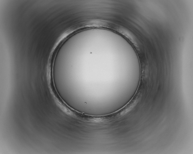 X0000110321130200905211521