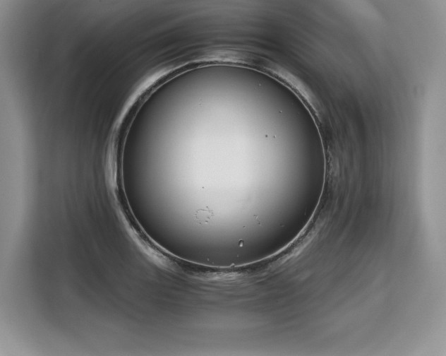 X0000110321131200905211521
