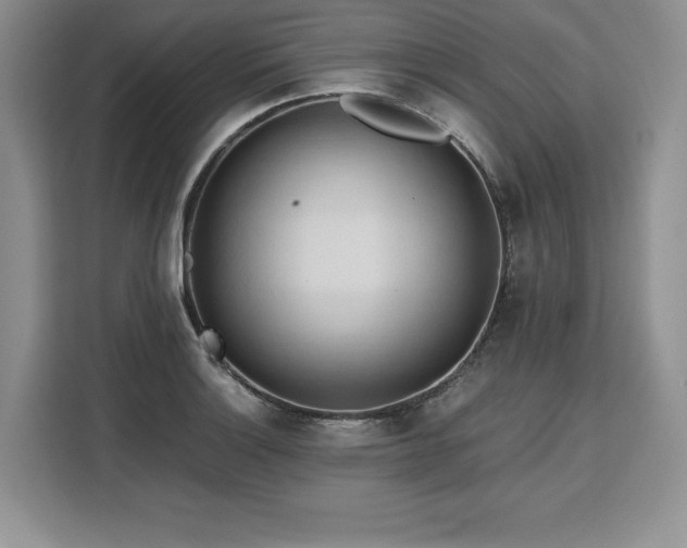 X0000110321132200905211521