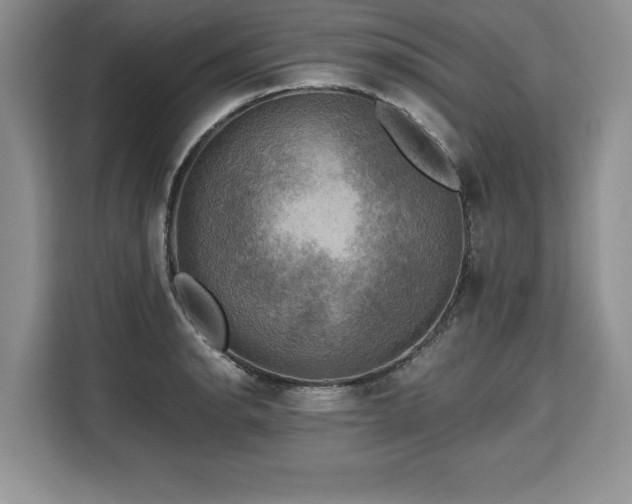X0000110321134200905211521