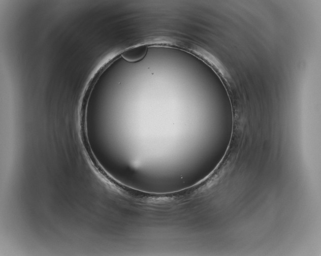 X0000110321135200905211521