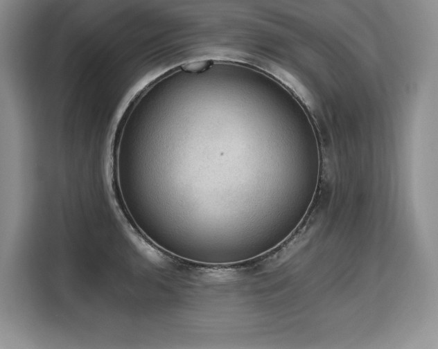 X0000110321136200905211521