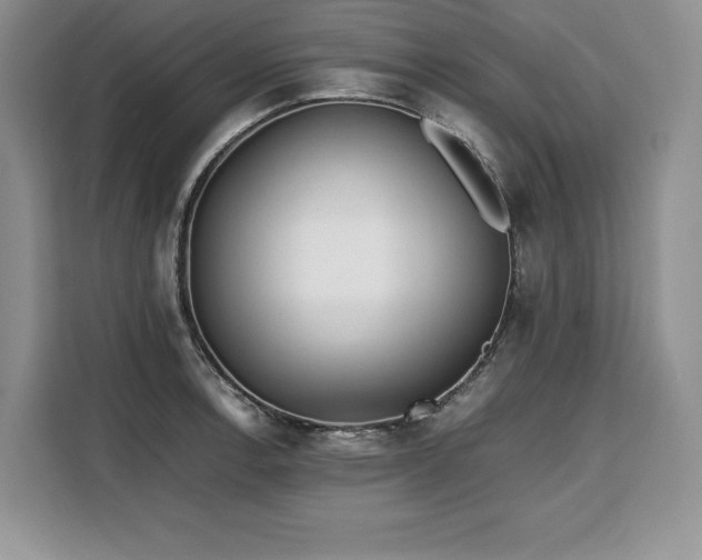 X0000110321138200905211521