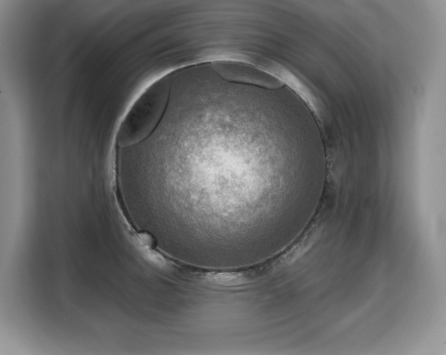 X0000110321140200905211521