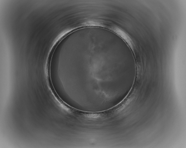 X0000110321141200905211521