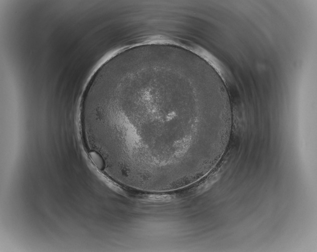 X0000110321142200905211521