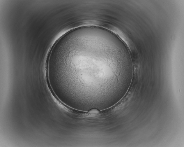 X0000110321143200905211521