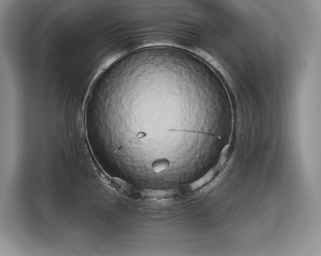 X0000110321145200905211521