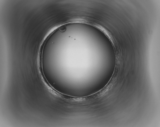 X0000110321147200905211521
