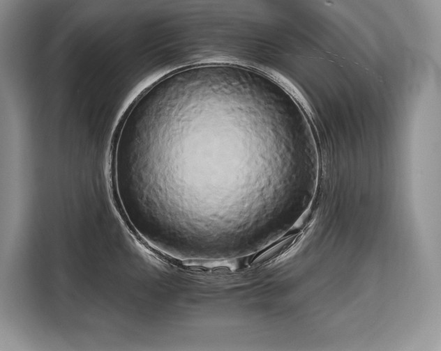 X0000110321149200905211521