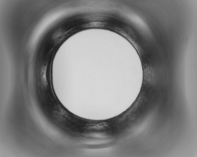 X0000110321150200905211521