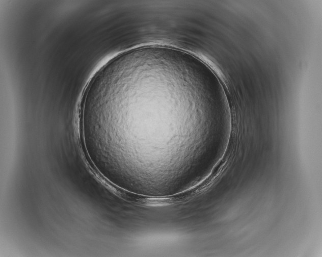 X0000110321151200905211521