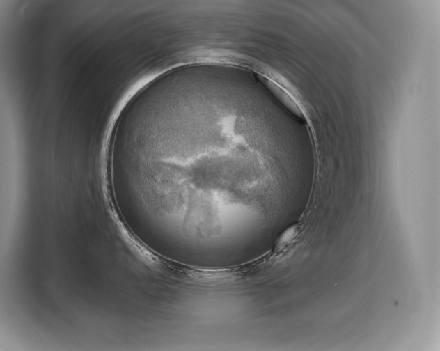 X0000110321152200905211521