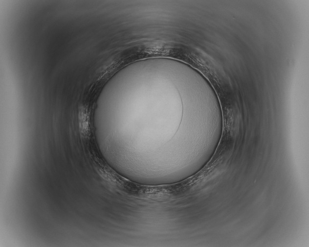 X0000110321154200905211520