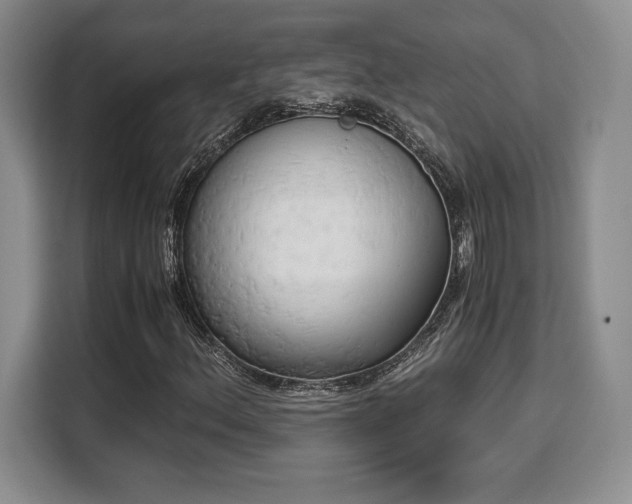 X0000110321156200905211520
