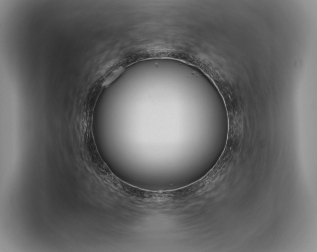 X0000110321157200905211520