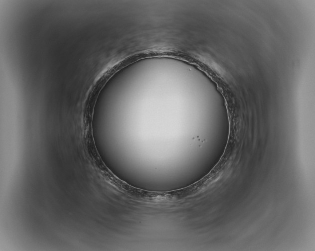 X0000110321160200905211520