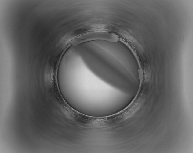 X0000110321161200905211520