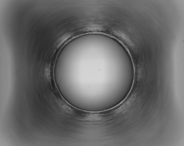 X0000110321162200905211520