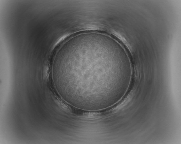 X0000110321163200905211520