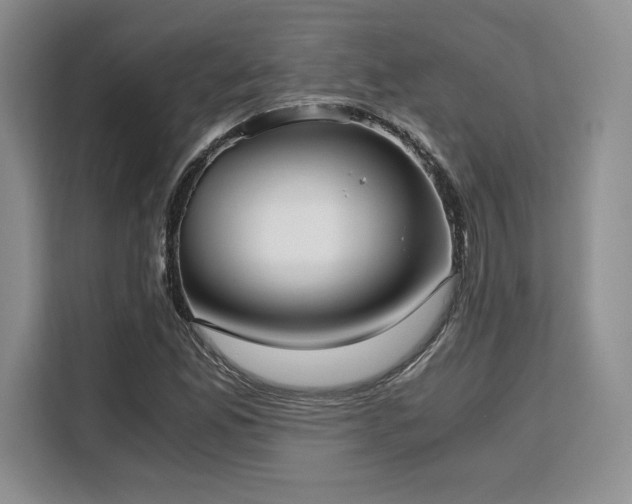 X0000110321165200905211520
