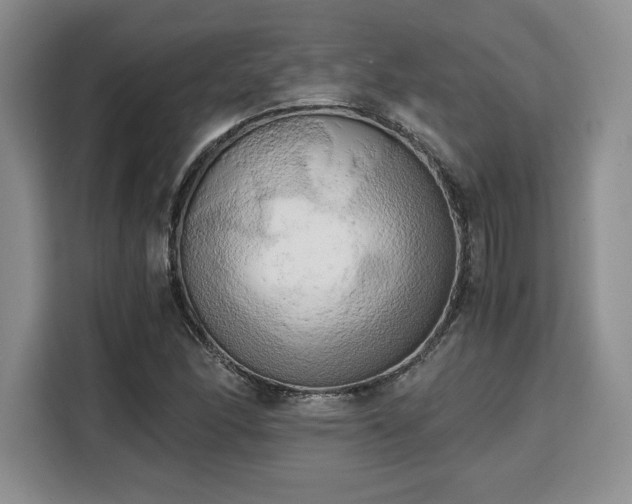 X0000110321166200905211520