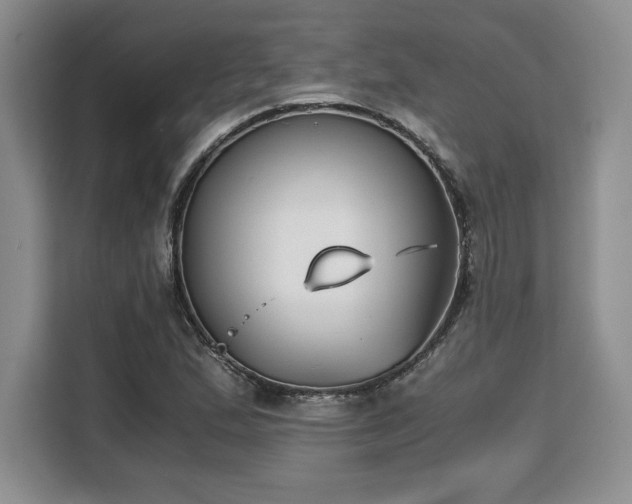 X0000110321167200905211520