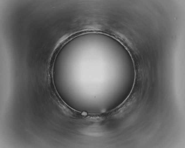 X0000110321168200905211520