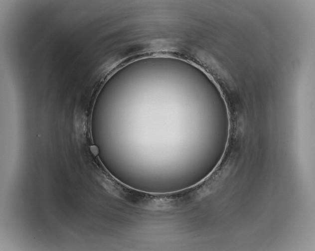 X0000110321169200905211520