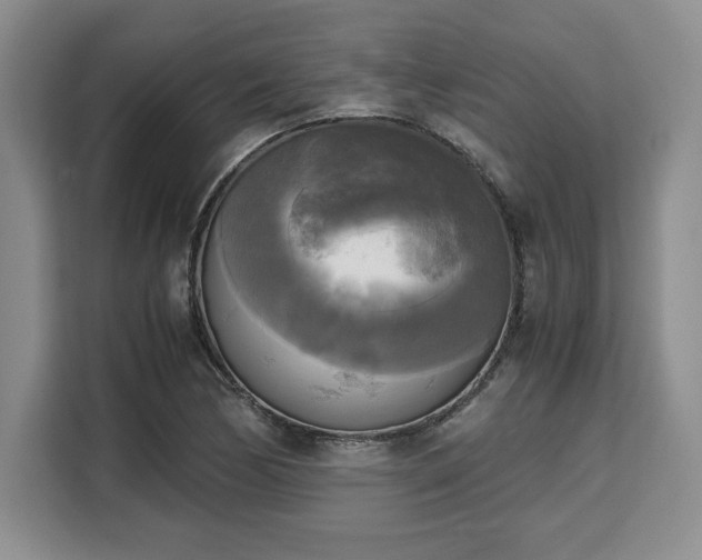 X0000110321170200905211520