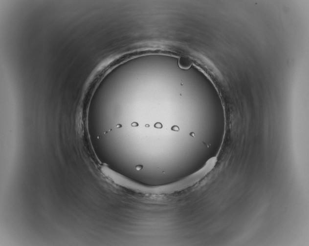 X0000110321172200905211520