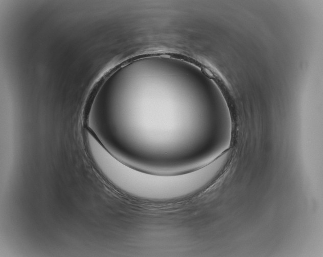 X0000110321173200905211520