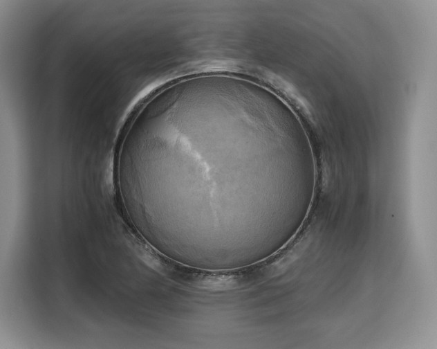 X0000110321174200905211520