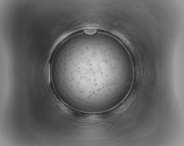 X0000110321175200905211520