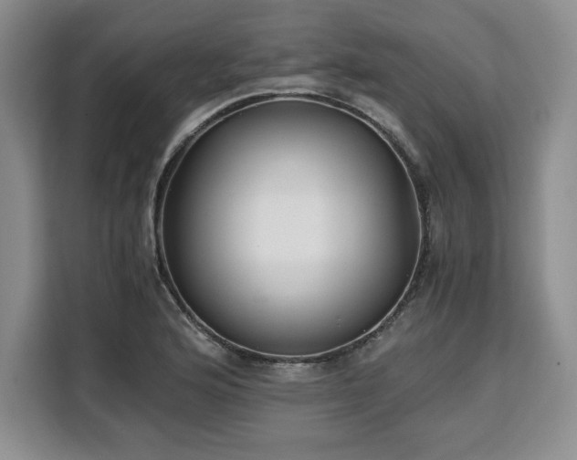 X0000110321176200905211520