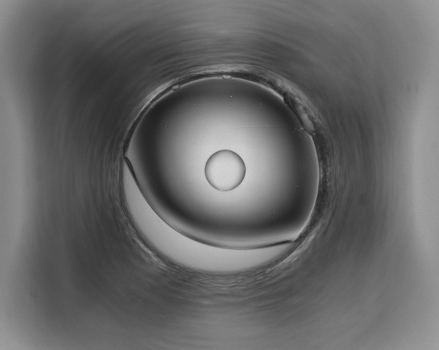 X0000110321177200905211520