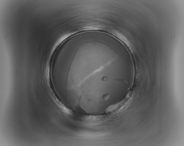 X0000110321179200905211520