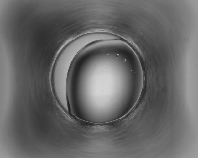 X0000110321181200905211520