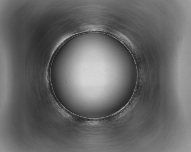X0000110321182200905211520