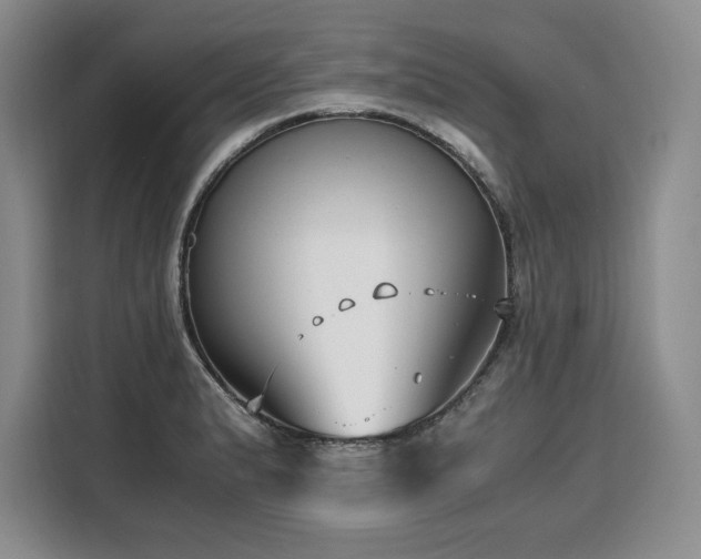 X0000110321183200905211520