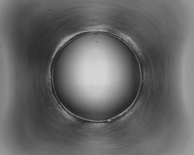 X0000110321184200905211520