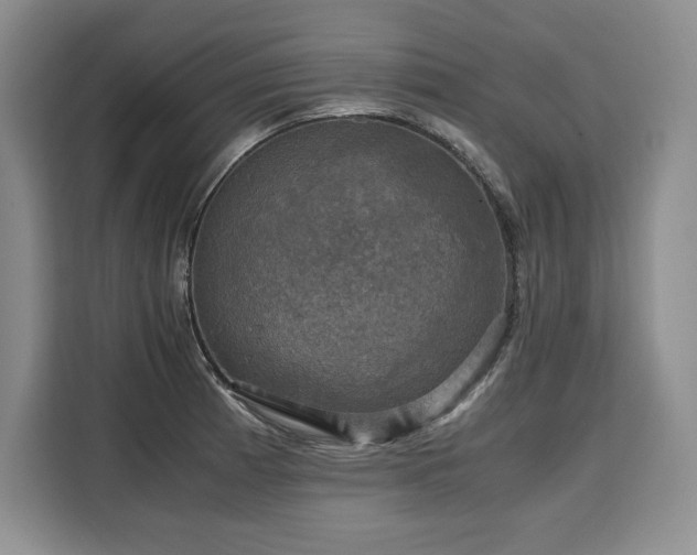 X0000110321185200905211520