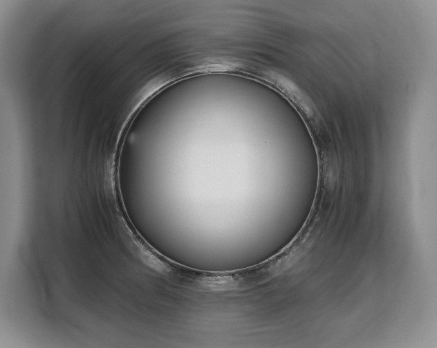 X0000110321186200905211520