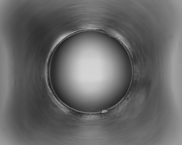 X0000110321187200905211520