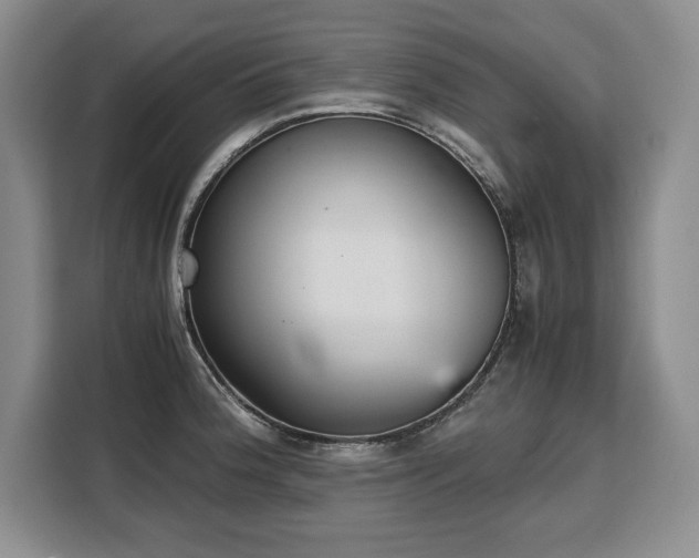 X0000110321188200905211520