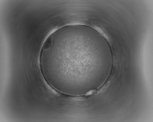 X0000110321189200905211520