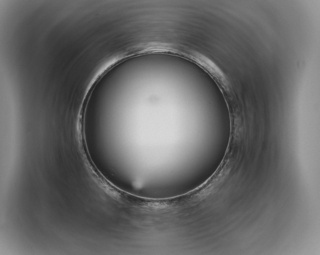 X0000110321190200905211520