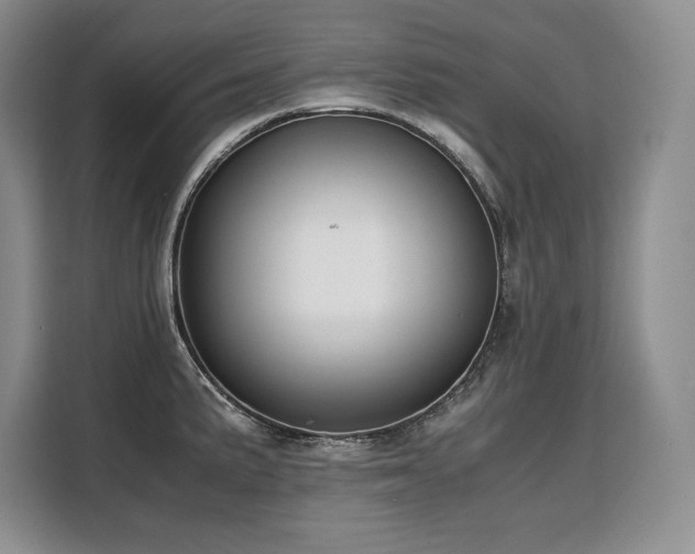 X0000110321191200905211520