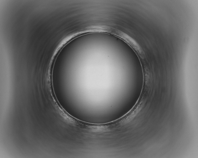 X0000110321192200905211520