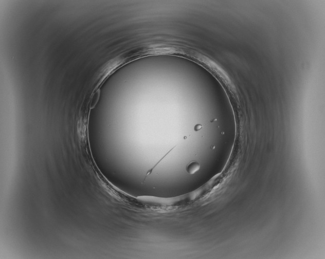 X0000110321193200905211520
